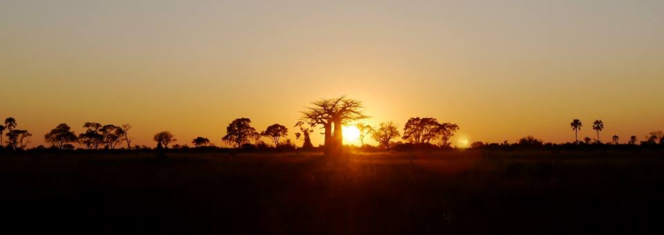 Okavango Delta Walking Safari