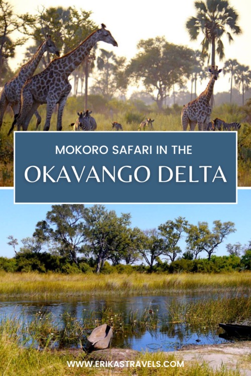 Okavango Delta Safari Botswana