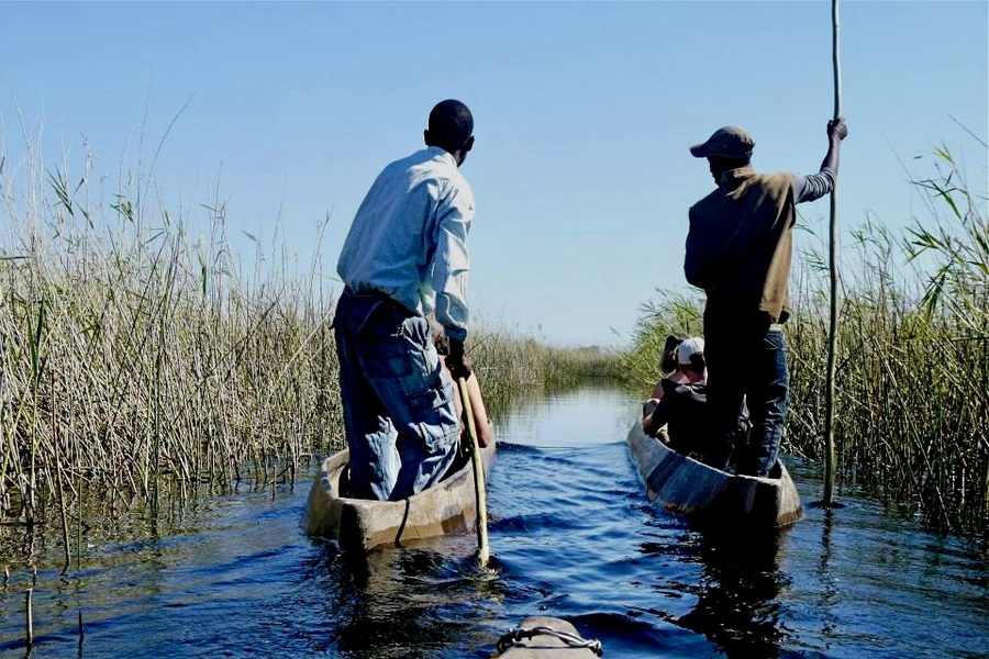 Polers in the Okavango Delta