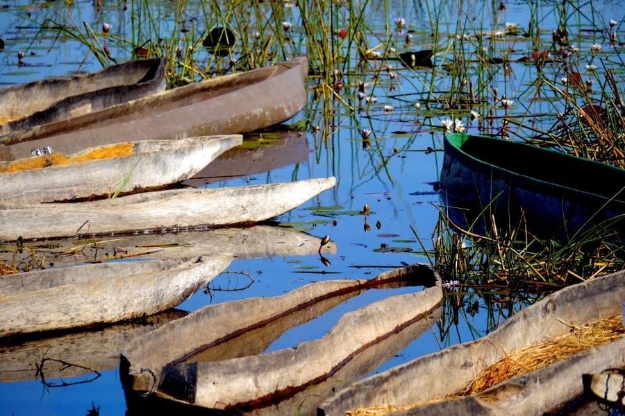 Mokoro Okavango Delta