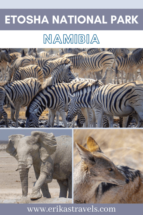 Etosha National Park