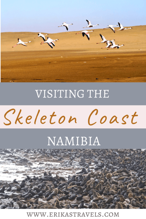 Skeleton Coast National Park Namibia