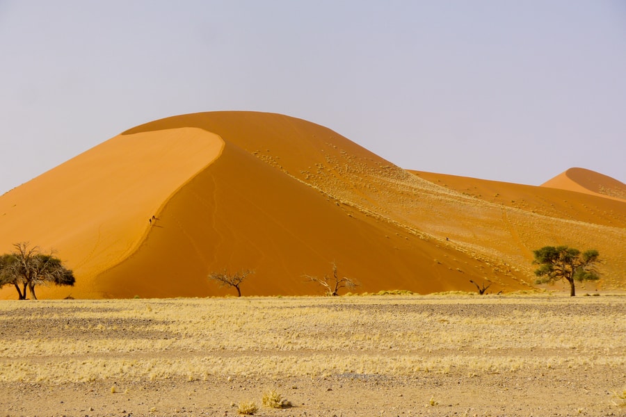 Dune 45 in Sossusvlei