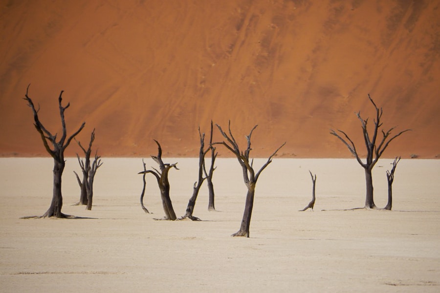 Deadvlei Namibia