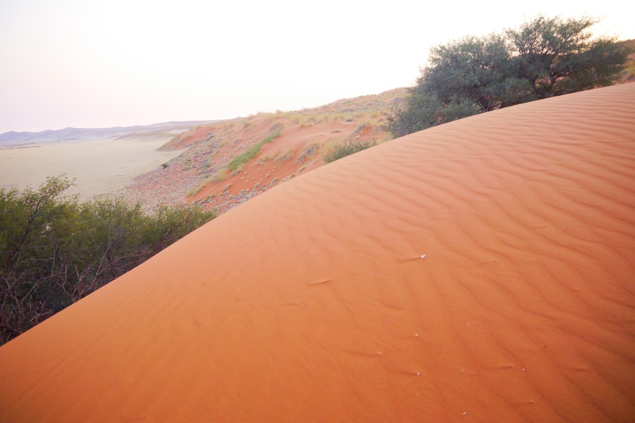 Sossusvlei, Namibia - A Hike on the Red Sand Dunes, Stay Adventurous