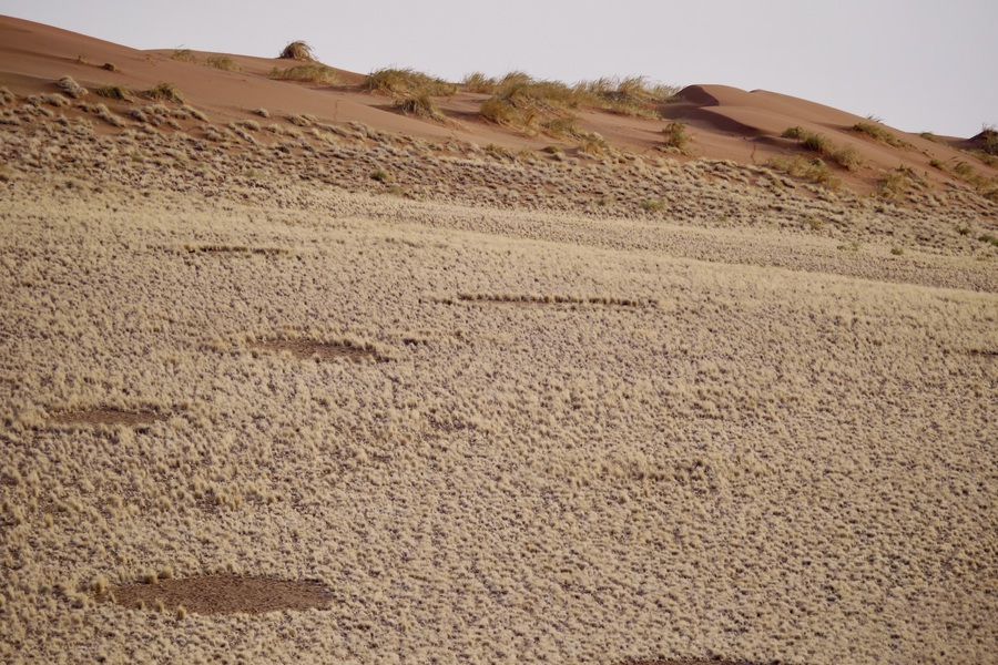 Namibia fairy circle