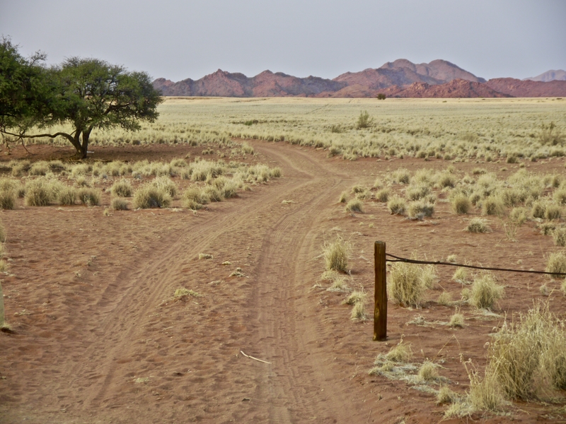 Scenery near the Ai Ais park in Namibia