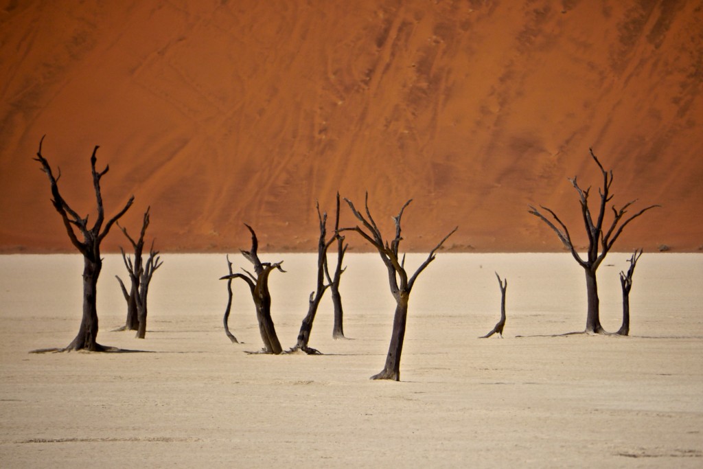 Deadvlei, Namibia