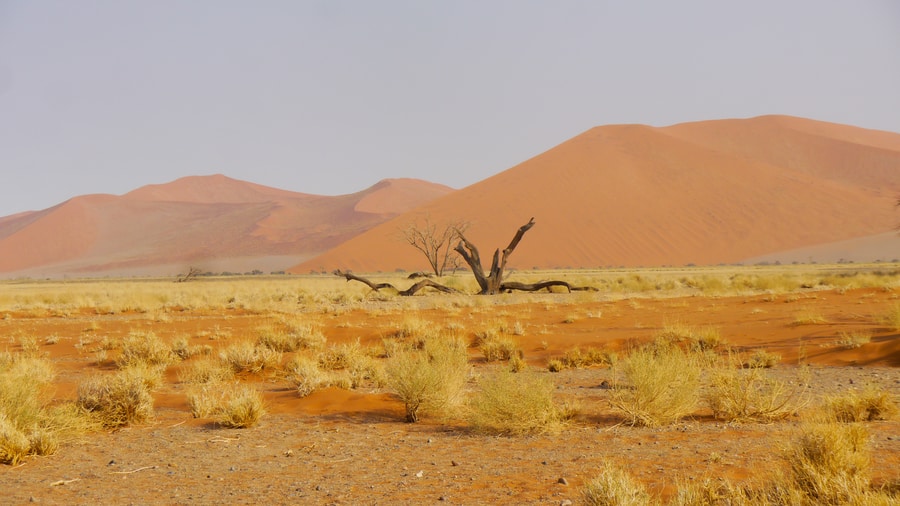 Sossusvlei Dunes