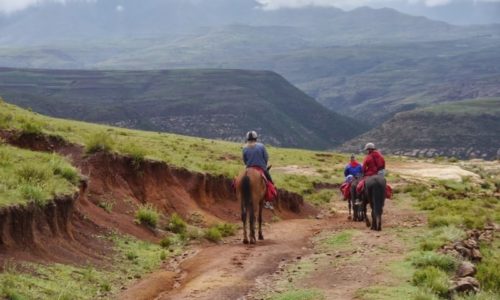 Lesotho Pony Trekking