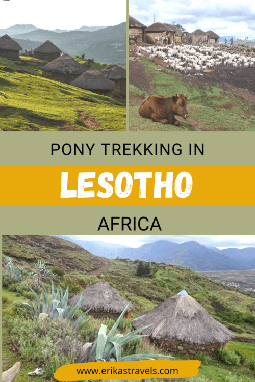 Lesotho Pony Trekking at Malealea
