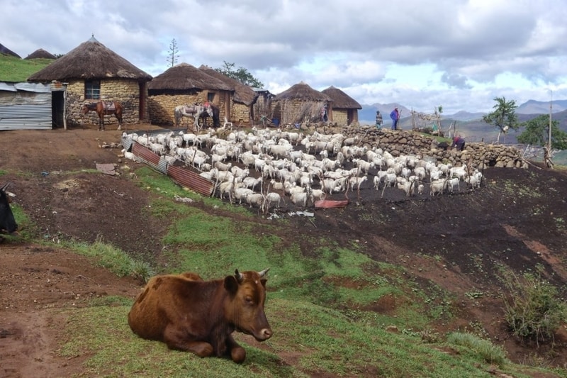 Ribaneng Village