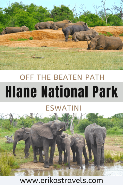 Guide to Hlane National Park in Swaziland