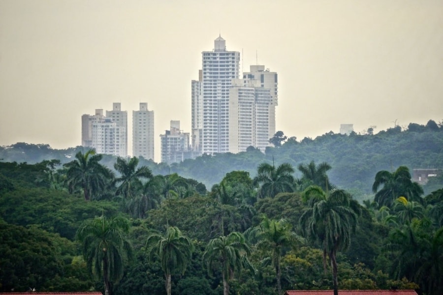 Panama City Skyline and Jungle