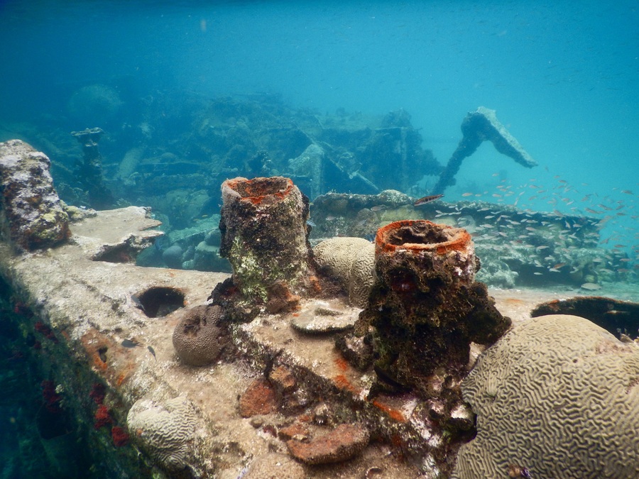 snorkeling at a shipwreck in San Blas