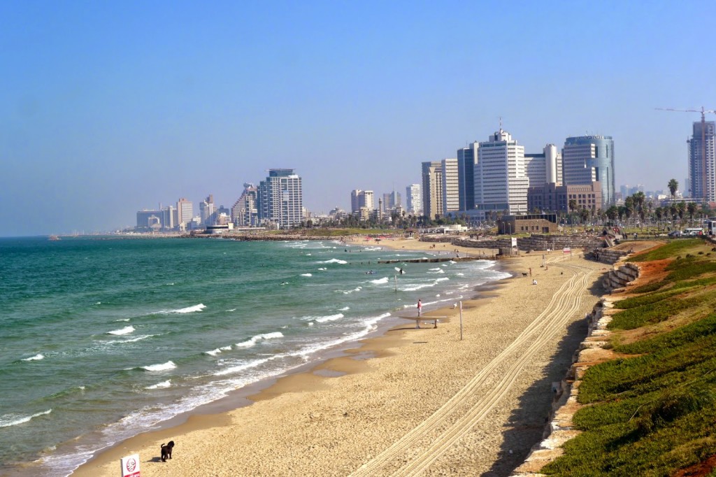 Tel Aviv Layover