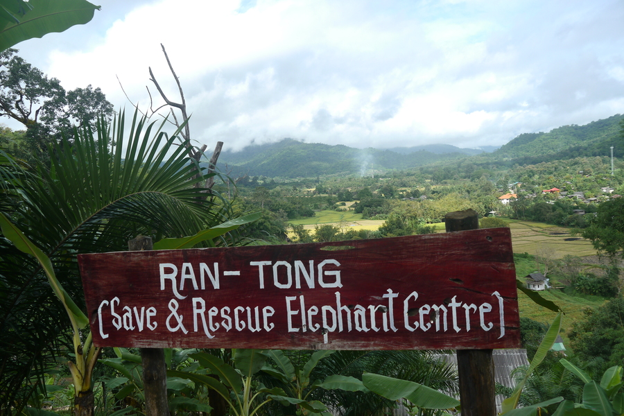 Ran Tong Save and Rescue