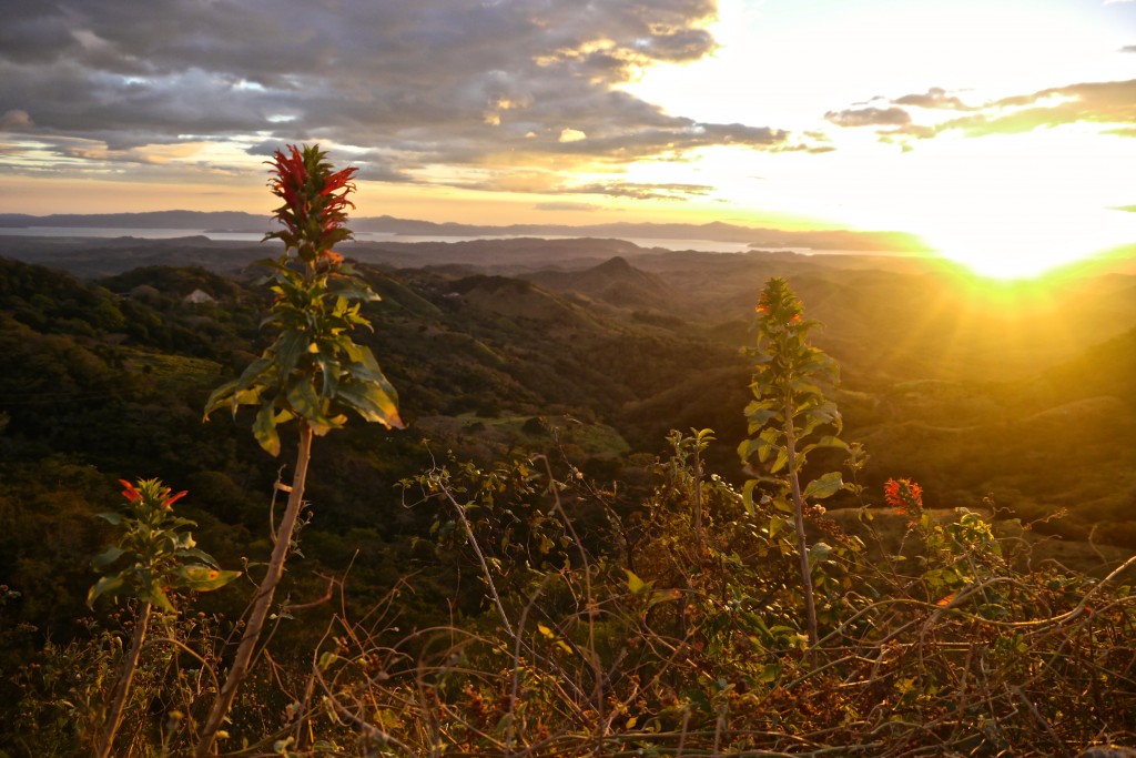 Scenery Monteverde Costa Rica--Erika's Travels