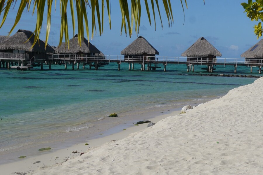 Hilton Resorta overwater bungalows in Moorea