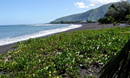 Black Sand Beach in Tahiti