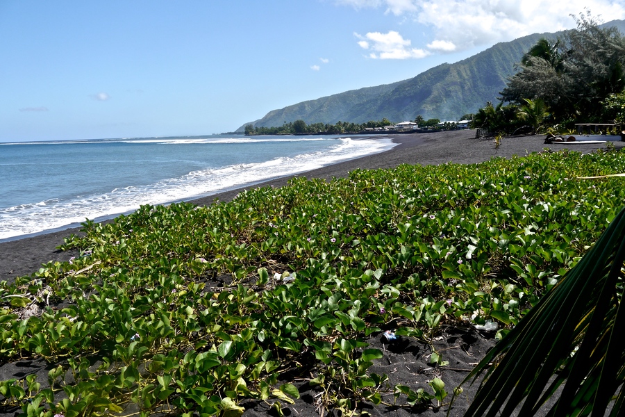 Black Sand Beach in Tahiti