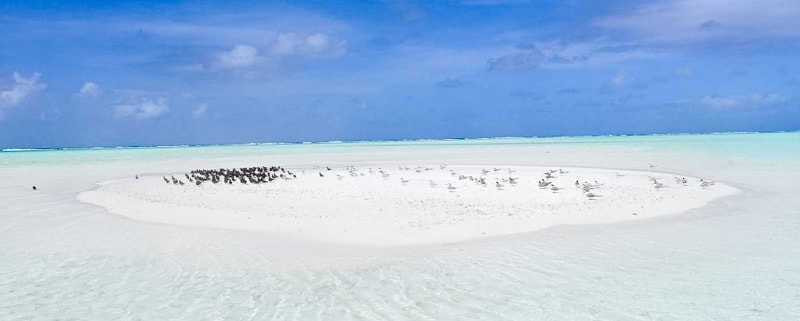 Private island of Marlon Brando in French Polynesia