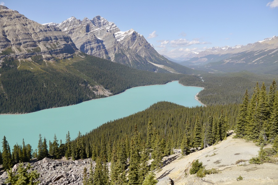 Peyto Lake in Banff