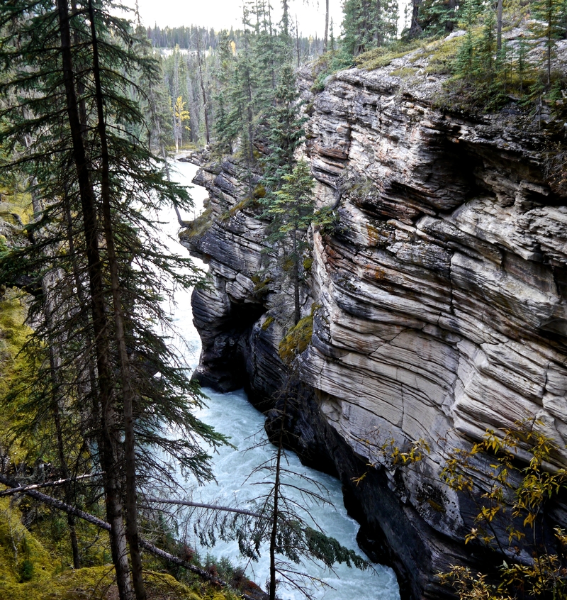 Jasper Park Athabasca Glacier and Falls