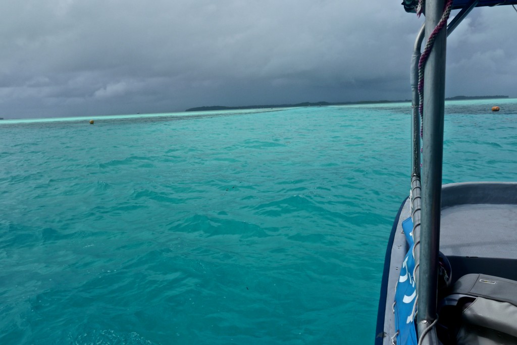 The German Channel in Palau--one of the best places in the world for diving