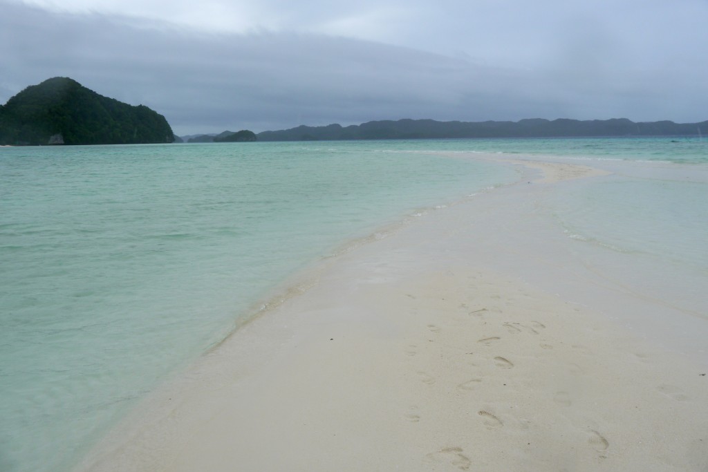 Sand bar in the middle of Palau