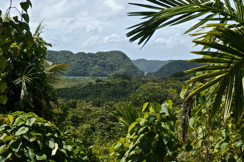 Babeldaob, Palau