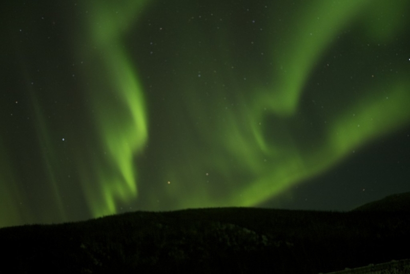 Aurora Borealis Dancing Across the Sky near Fairbanks, Alaska