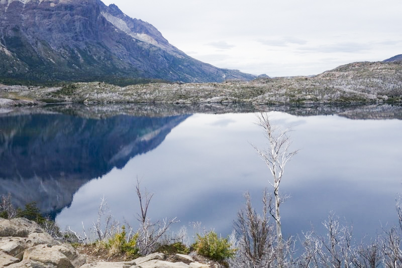 Lake in Torres del Paine