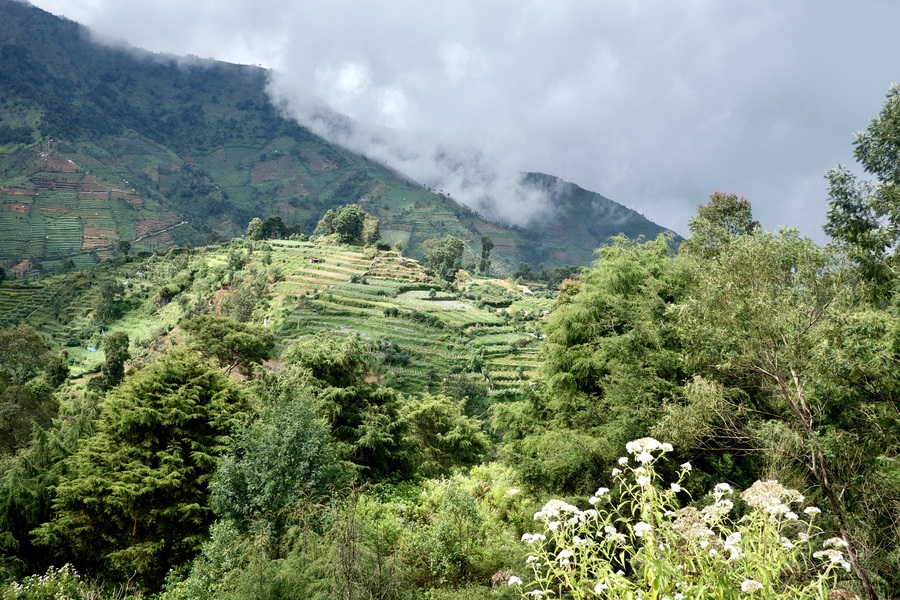 Green hillsides and terraces in Central Java