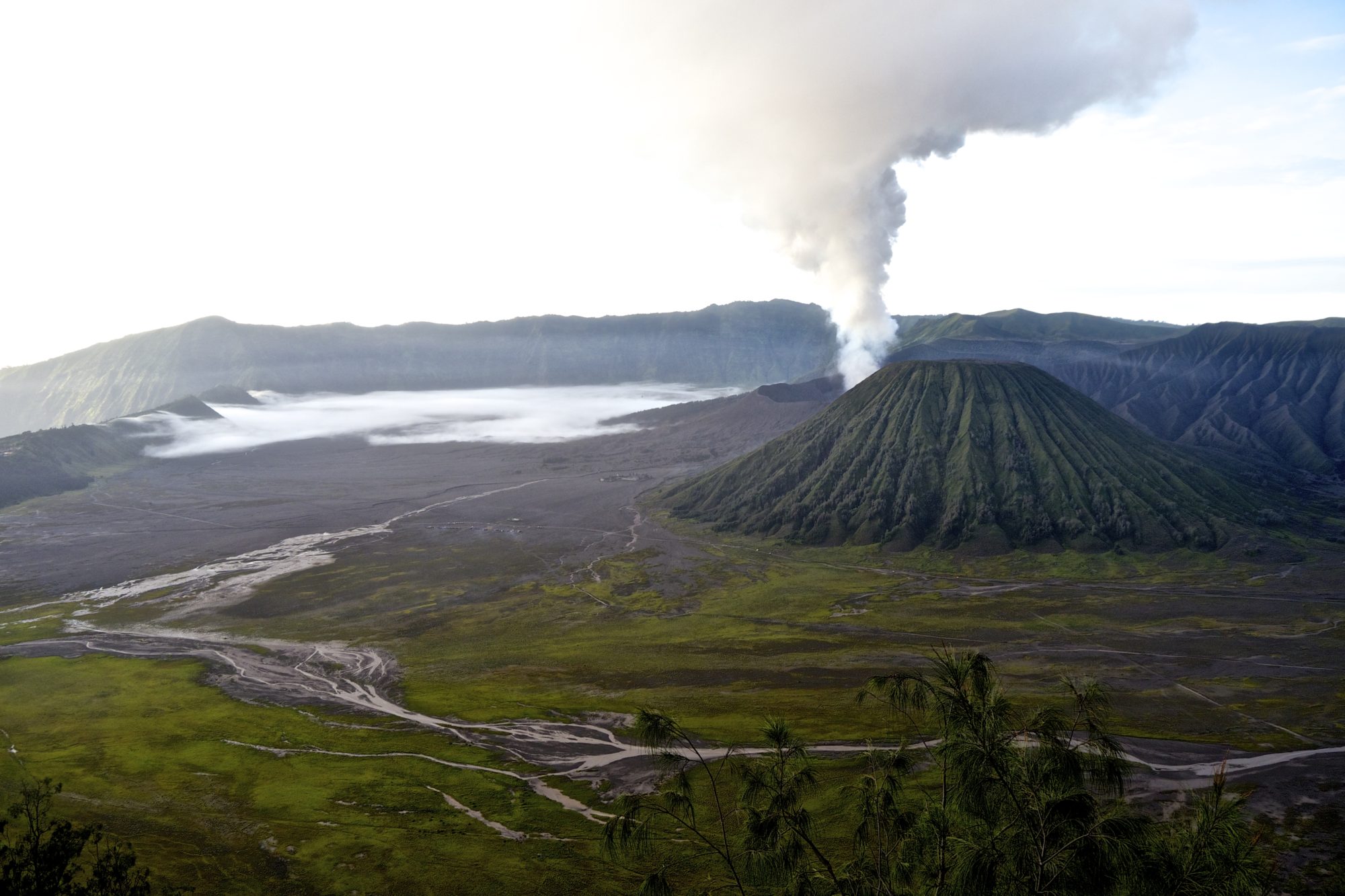 Mount Bromo Sunrise Tour and Crater Hike - Erika's Travels