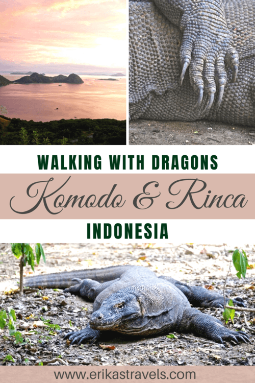 Komodo Dragon Tour