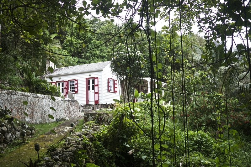 Saba Day Hike up Mount Scenery