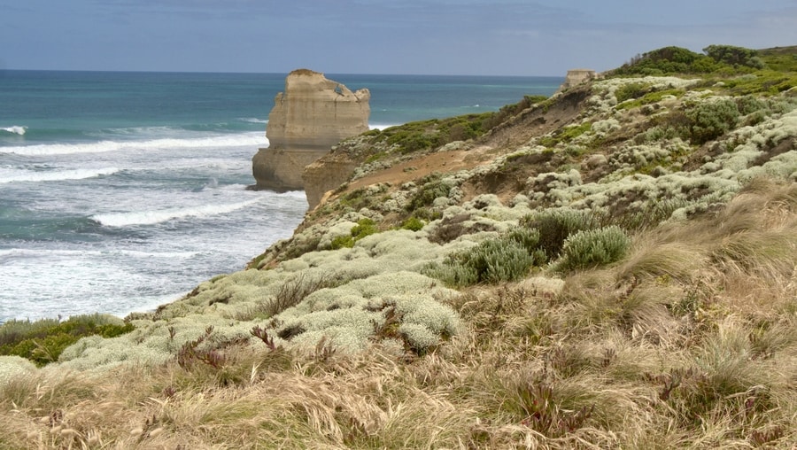 Great Ocean Road Coastline