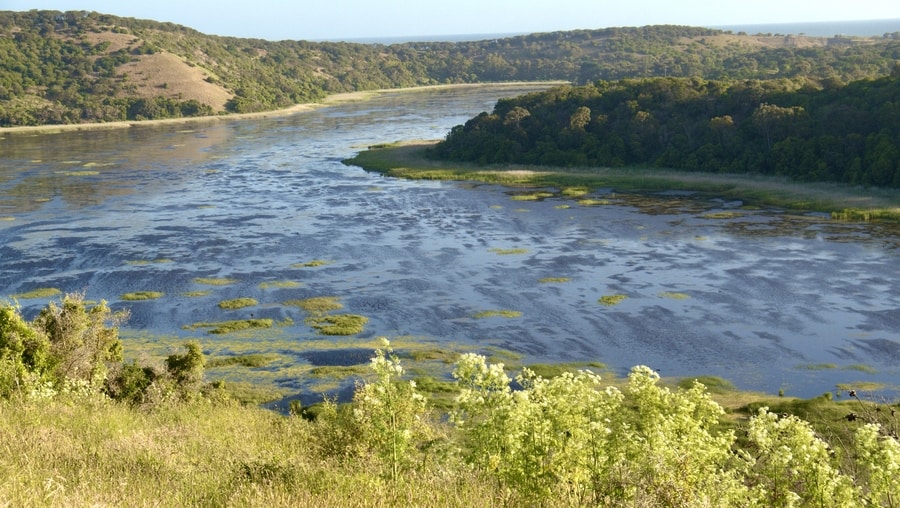 Tower Hill Game Reserve