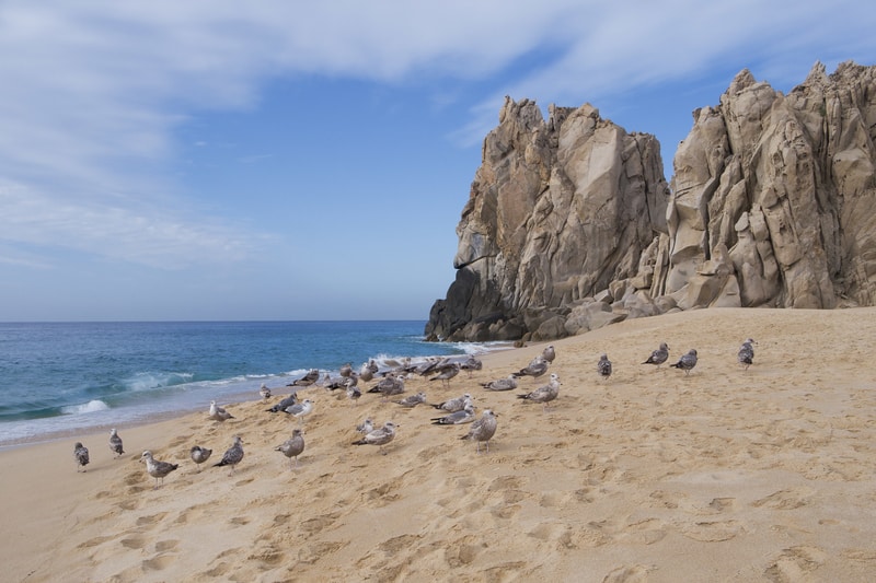 Lover's Beach in Cabo San Lucas