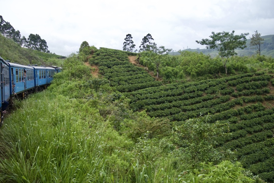 The Train from Kandy to Ella in Sri Lanka