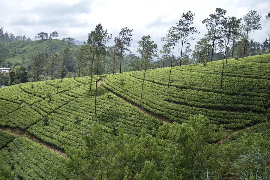 Ella, Heart of Sri Lanka's Hill Country