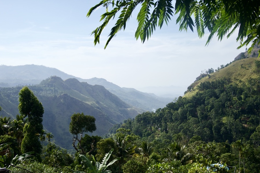 View of the Ella Gap from Nest of Peak