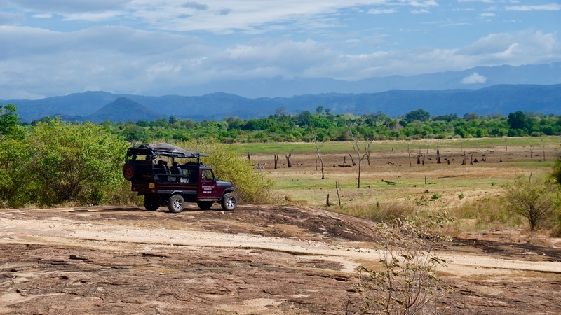 Morningside Safari Udawalawe