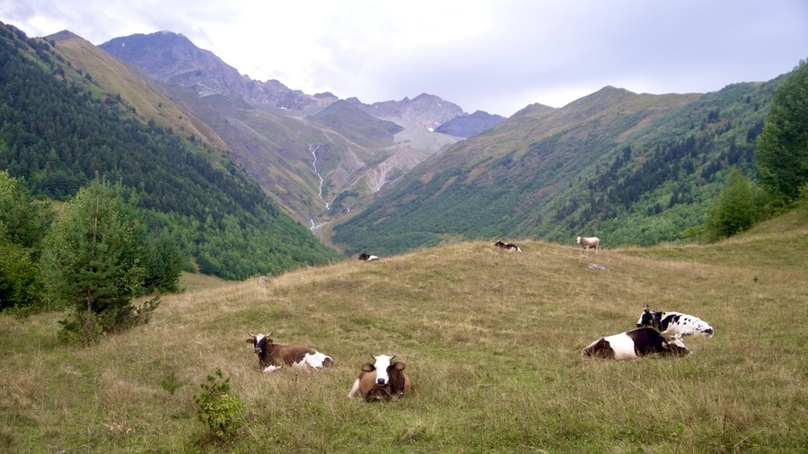 Hiking near Mestia Georgia