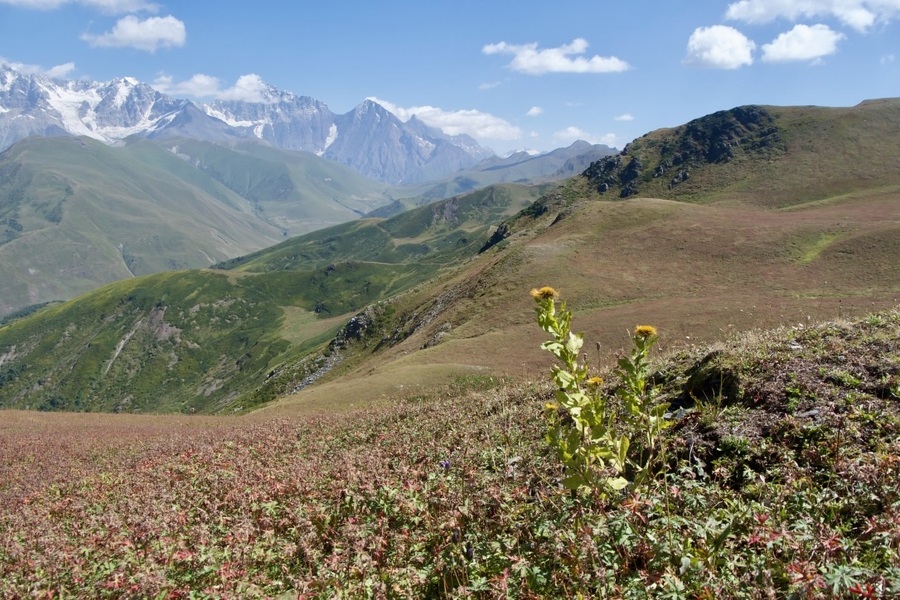 Beautiful Mountains in Svaneti Georgia