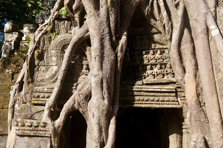 Ta Som Temple, Angkor Wat