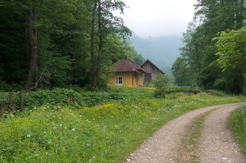 Hiking trail in Tara National Park