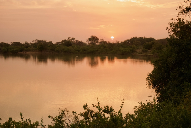 west african safaris