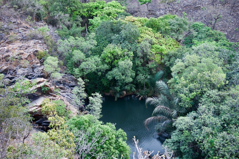 west african safaris